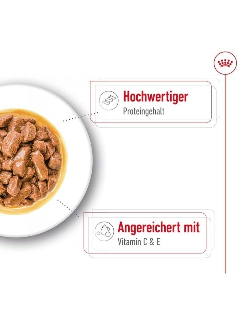 Royal Canin Medium Adult Wet Dog Food - 140G - Image 4